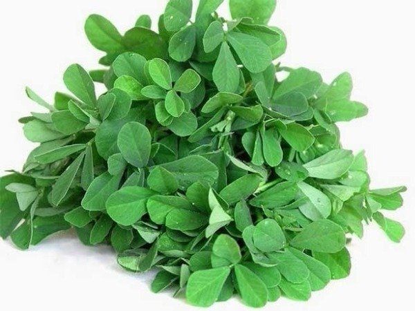 methi